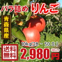 青森りんご☆送料無料☆バラ詰めりんご10kg(10キロ前後)28?50玉【わけあり・訳ありりんご】