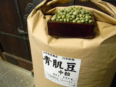 青肌豆 中粒（30kg）...:auc-otamaya:10000123