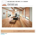 ★大建工業 日本の樹 至高 杉(木肌) 【YP76-NSK】 12mm厚さ 145×1818mm 6枚入 0.5坪 国産材 最高級 WPC床材 フローリング ★ 【送料無料】