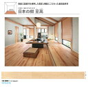 ★大建工業 日本の樹 至高 栃(絹肌) 【YP76-NTK】 12mm厚さ 145×1818mm 6枚入 0.5坪 国産材 最高級 WPC床材 フローリング ★ 【送料無料】