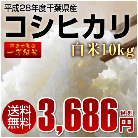 【送料無料】【あす楽】 平成28年産 新米 コシヒカリ 1等米 白米 精米10kg【千葉県…...:auc-oyamadashouten:10000711