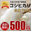 【送料無料】平成29年度千葉県産新米コシヒカリ白米750g◆...