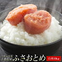 【送料無料】 令和元年産 新米 千葉県産 ふさおとめ 白米 ...