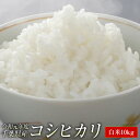 【送料無料】 令和元年 新米 千葉県産 コシヒカリ 白米 1...