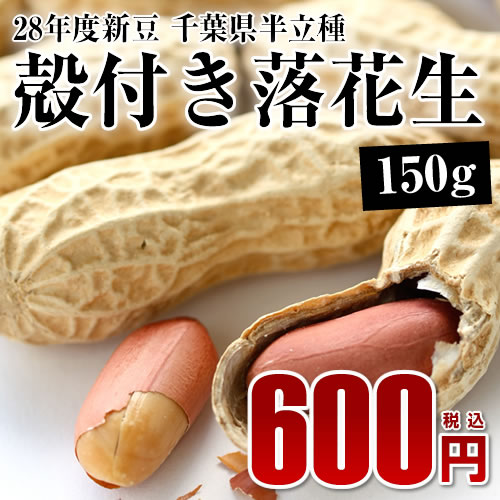 28年度　千葉半立殻付落花生 150g【千葉県産落花生】【天日干し】 【ピーナッツ】 【お…...:auc-oyamadashouten:10000002