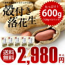 【送料無料】ギフトにピッタリ!千葉県産 殻つき落花生600g(120g×5袋) 【ナカテユタカ】【千葉県産落花生】【天日干し】 【ピーナッツ】 【おつまみ】