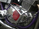 GSX250E ザリ エンジンガード メッキ