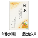 年賀状 印刷 年賀状印刷 67円絵入はがき(全国版)(250枚)年賀状 印刷 年賀状印刷 年賀状 2019 亥年 年賀ハガキ 年賀はがき 送料無料(ゆうパケット)