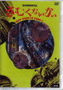 SALE OFF!新品DVD!さむくないかい!