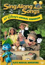 SALE OFF！新品北米版DVD！Disney's Sing Along Songs: Flik's Musical Adventure at Disney's Animal Kingdom！
