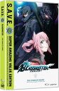 新品北米版DVD!【ブラスレイター】全24話!