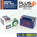 【あす楽対応】 ジェルバッテリー PTZ...