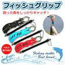 【全品ポイント5倍 2018/10/15 23:59迄】 フ...