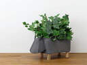 【MELROSE】Animal Iron Planter / 78315 全2種 プランターボックス ポット 置物 オブジェ インテリア インダストリアル アイアン ピッグ カウ