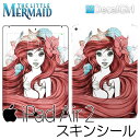 【在庫有り】DecalGirl ディズニー リトルマーメイド アリエル iPad air2専用スキンシール《アンダー ザ シー》 アップル キッズ デカール ステッカー シール iPadケース 子供用カバー KIDS ipadカバー