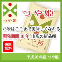 【28年産米】【送料無料】つや姫 白米 10kg 　特別栽培米　山形県庄内産