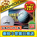 【3営業日出荷対応 オウンネーム 名入れゴルフボール】ミズノ/mizuno JPX DE シルバーパール 1ダース(12球) /5NJBM74610 名前入りギフト コンペ賞品 景品 ホールインワン 記念品 父の日 還暦祝 誕生日プレゼント 退職記念