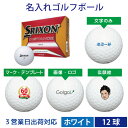 【3営業日出荷対応 オウンネーム 名入れゴルフボール】ダンロップ スリクソン ディスタンス SRIXON DISTANCE 2018年モデル ホワイト 1ダース(12球) スピード納品 名前入りギフト コンペ賞品 景品 ホールインワン 記念品 父の日 還暦祝 誕生日プレゼント 退職記念