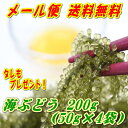 【タレ付】メール便送料無料・代引不可・200g 沖縄県産 海ぶどう 50g×4袋 化粧箱なし【smtb-MS】【RCP】 【沖縄 土産 沖縄土産 沖縄お土産】【月間優良ショップ】