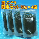 【4袋セット】沖縄県産 海ぶどう 200g　(50g×4袋) 塩水入り【化粧箱なし】【送料無料】　沖縄　お土産　通販　おきなわ　お取り寄せ　 10P17Aug12