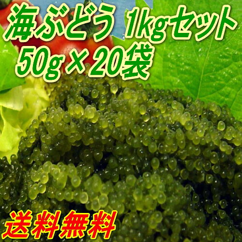 【今ならタレ付】送料無料 沖縄県産 海ぶどう 1kg （50g×20袋） 化粧箱なし 宅配…...:auc-sansei-shop:10000745