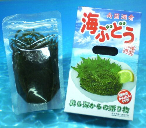 沖縄県産 海ぶどう 50g×8箱セット 塩水入り【送料無料】　沖縄　お土産　通販　おきなわ　沖縄お土産　沖縄産　沖縄土産　お取り寄せ　ランキング　ギフト 10P17Aug12