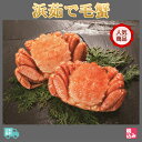 【送料無料】北海道産(太平洋) 浜茹 毛蟹 2ハイ(約800...