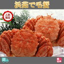 北海道産(太平洋) 浜茹 毛蟹 2ハイ(約1kg)上級堅蟹(...