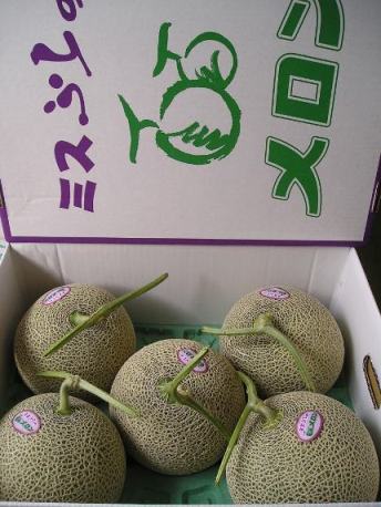 北海道富良野産 ミスふらのメロン 秀品5玉 8.0kg【送料無料】高糖度(15度以上)の富良野メロン(レッドメロン)!!エコファーマー(減農薬減化学肥料栽培)の逸品!!ポイント5倍セール中!!