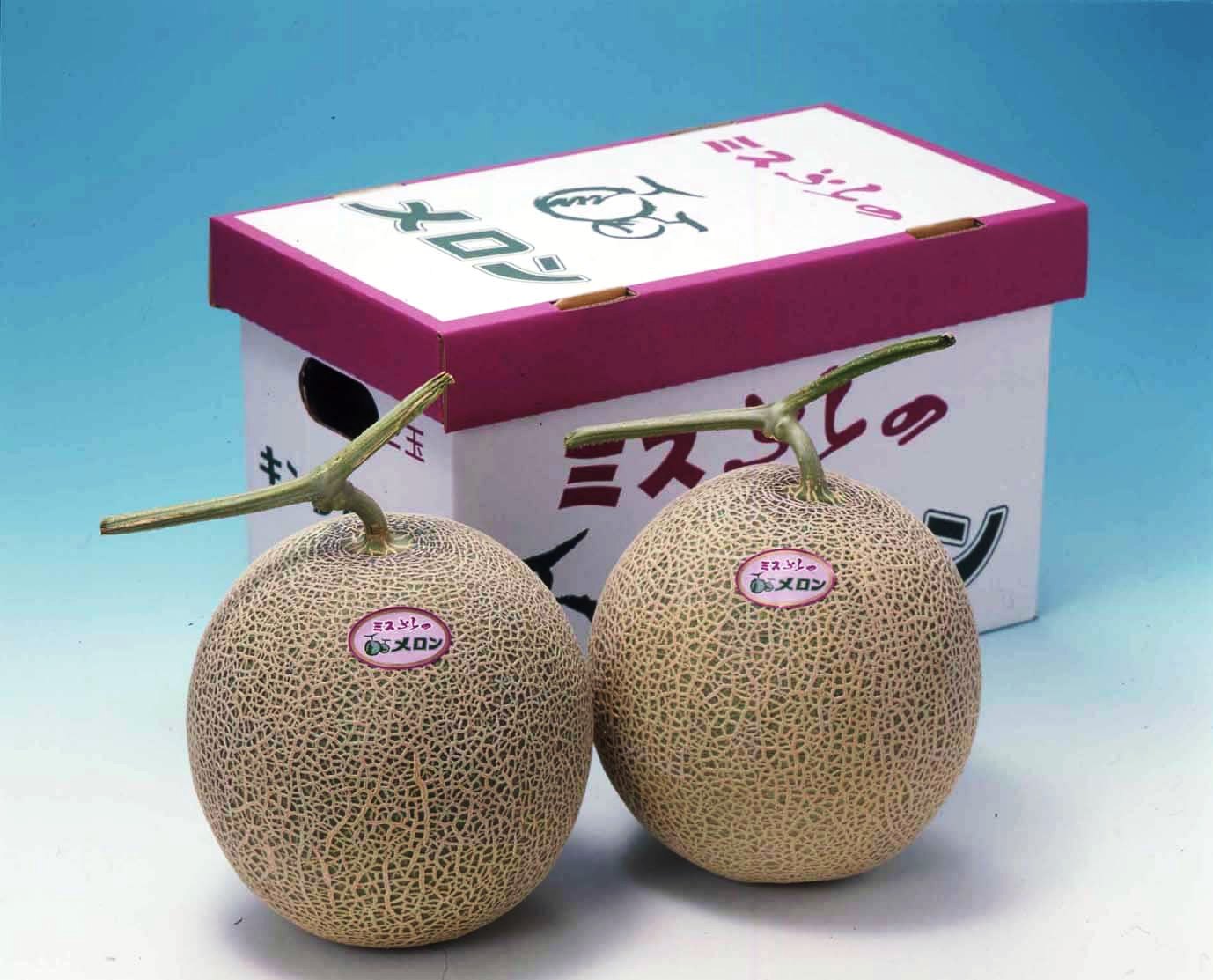 北海道富良野産 ミスふらのメロン 秀品2玉 3.2kg【送料無料】高糖度(15度以上)の富良野メロン(レッドメロン)!!エコファーマー(減農薬減化学肥料栽培)の逸品!!ポイント5倍セール中!!