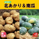 北海道産じゃがいものブランド! ニセコ産北あかり L5kg+...