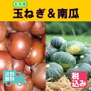 【送料無料】北海道 北見産 玉葱 L大 4kg+北海道産 南...