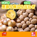 北海道産じゃがいものブランド!ニセコ産男爵 L4kg+北見産...