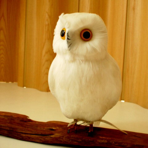 ★PUEBCO（プエブコ） フクロウ　Owl ホワイト（L）リアルな フクロウ 置物 雑貨…...:auc-select:10000054