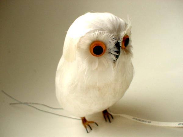 PUEBCO（プエブコ）フクロウ Owl ホワイト　リアルバード鳥　剥製のようにリアル♪雑貨　通販【SBZcou1208】あなたの部屋が森になる★福を呼ぶフクロウ★”森の番人”ふくろうのオブジェ置物