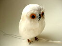 PUEBCOivGuRjtNE Owl zCg@@Ao[h@̂悤ɃAӂ낤Gݒʔ RCP 