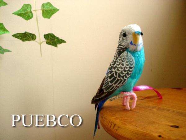 ★PUEBCO（プエブコ） Budgie　Blue　セキセイインコ/鳥　販売カラーブルー雑…...:auc-select:10000059