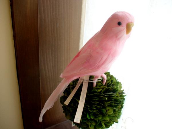 PUEBCO（プエブコ） Budgie　ピンク　セキセイインコ　/剥製のようにリアル鳥オブジェ♪雑貨　通販【マラソン201207_生活】♪ナチュラルインテリアのアクセント♪リアルなセキセイインコオブジェ置物