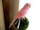 PUEBCO（プエブコ） Budgie　ピンク　セキセイインコ　/剥製のようにリアル鳥オブジェ♪雑貨　通販