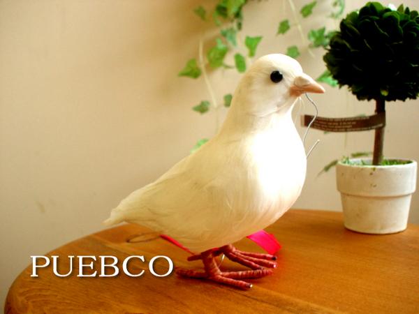 ★PUEBCO（プエブコ）鳥　 Dove鳩（ハト）　150　剥製のようなリアルさ雑貨通販【RCP】