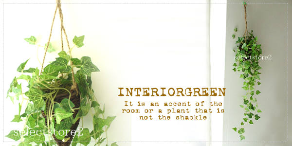 ʥ륰꡼쥤ˡޥӡϥ󥮥󥰥Хåȡҥߤ뤷