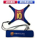 SKLZ スキルズ サッカー 練習キット スターキック FC...