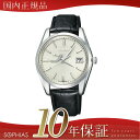 シチズン ザ・シチズン AQ101003A CITIZEN The CITIZEN エコ・ドライブ 【長期保証10年付】