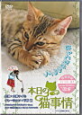本日の猫事情 【DVD】【あす楽対応】