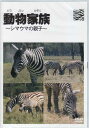 動物家族~アフリカ編~シマウマ 【DVD】