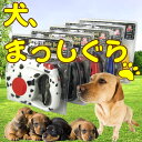 赤字覚悟の在庫一掃セール★伸縮式ライト付きリールリード■愛犬のお散歩に■最長4.5m！【全5色】赤字覚悟！【在庫一掃セール★】ライト付きリールリード/犬猫ハムスター等のペット用品です/ダルメシアン柄斑点/黒black/赤red/青blue/黄色yellow