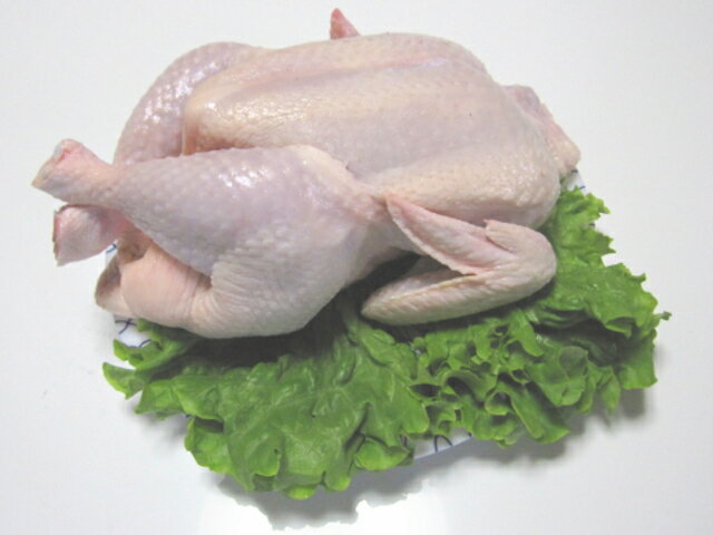 【香川県産健味鳥】 若鶏丸一羽・丸鳥　約2kg〜2.5kg