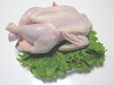 【香川県産健味鳥】 若鶏丸一羽・丸鳥（小） 　約2.0kg前後