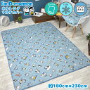 ドラえもん 冷感 グッズ ラグ 夏用 ラグマット 3畳 約180×230cm カーペット ブルー系 冷感生地 ホットカーペットカバー 洗える 柄 子ども 小学館 かわいい 20ssch 在宅 勤務 gh sms