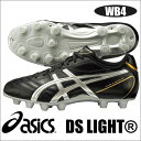 【レビューを書いて送料無料】DSライト WB4 ア